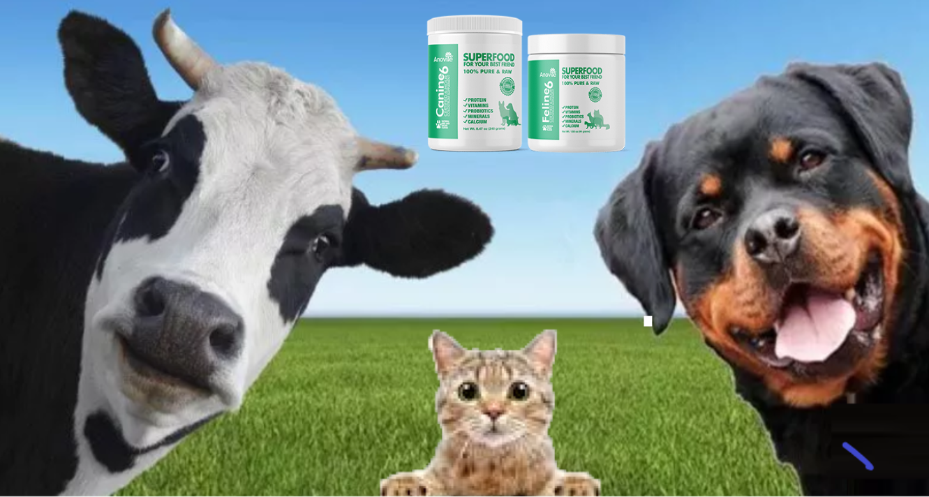 Anovite Colostrum6 For Your Pets